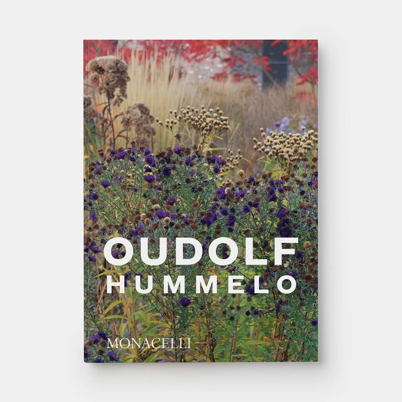 Puriri_Lane_Hummelo_A_Journery
