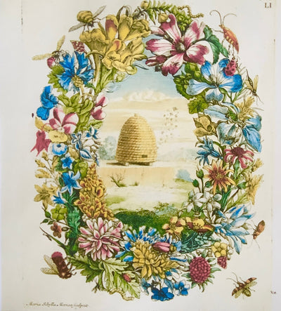 Marsh's Honey | New To Puriri Lane @ Addenbrooke