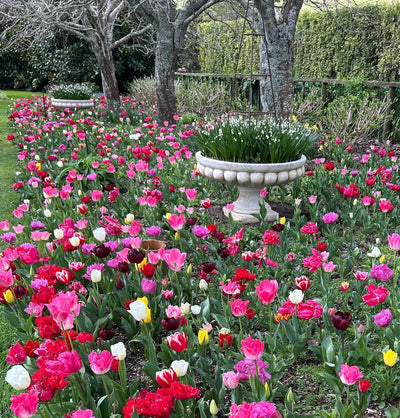 Tales: From The Potting Shed - Issue #6