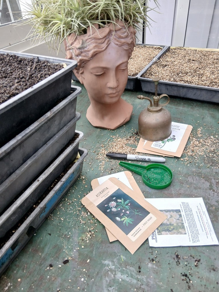 Tales: From The Potting Shed - Issue #3