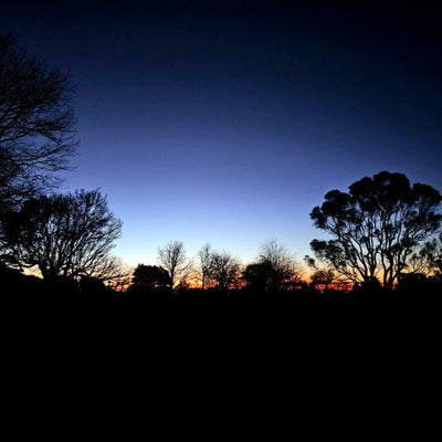 Tales: From The Potting Shed - Issue #5