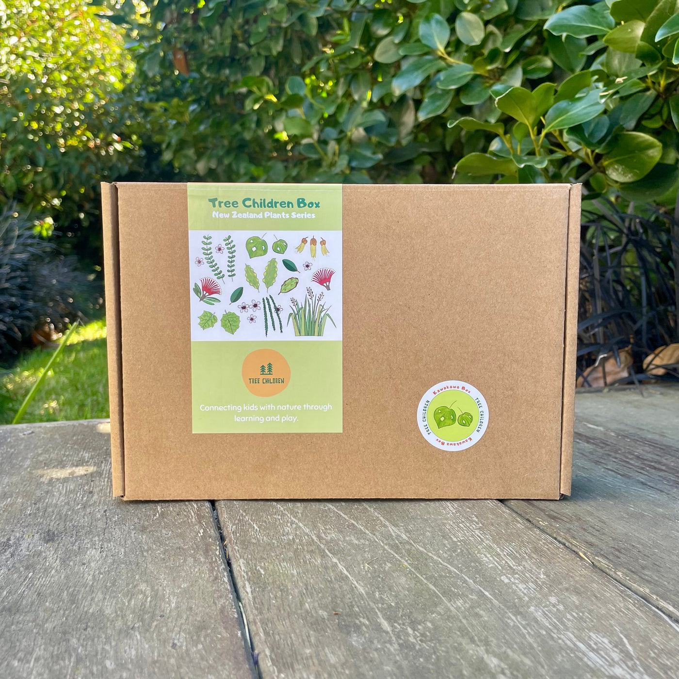 Naturewalk Box Kawakawa Educational Nature Box | Tree Children – Addenbrooke