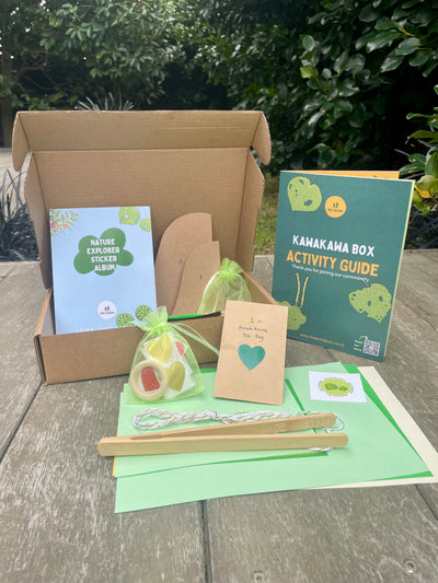 Kawakawa Educational Nature Box | Tree Children