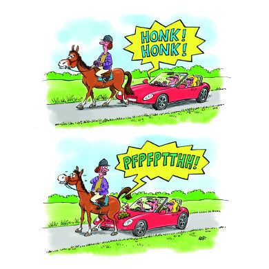 Humorous Garden Card | Horse Poo On Car