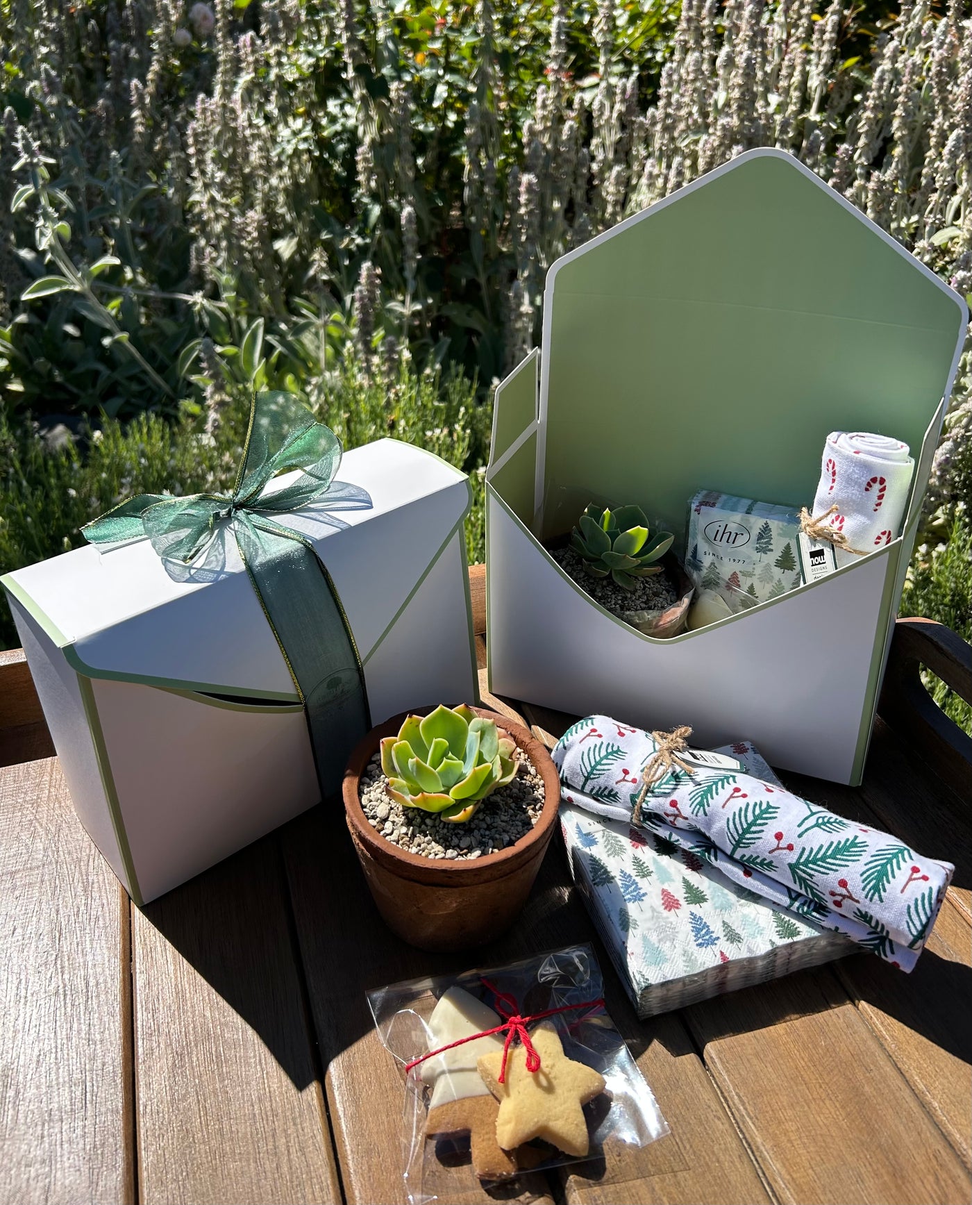 Gift Box | Succulent Plant + Giftware