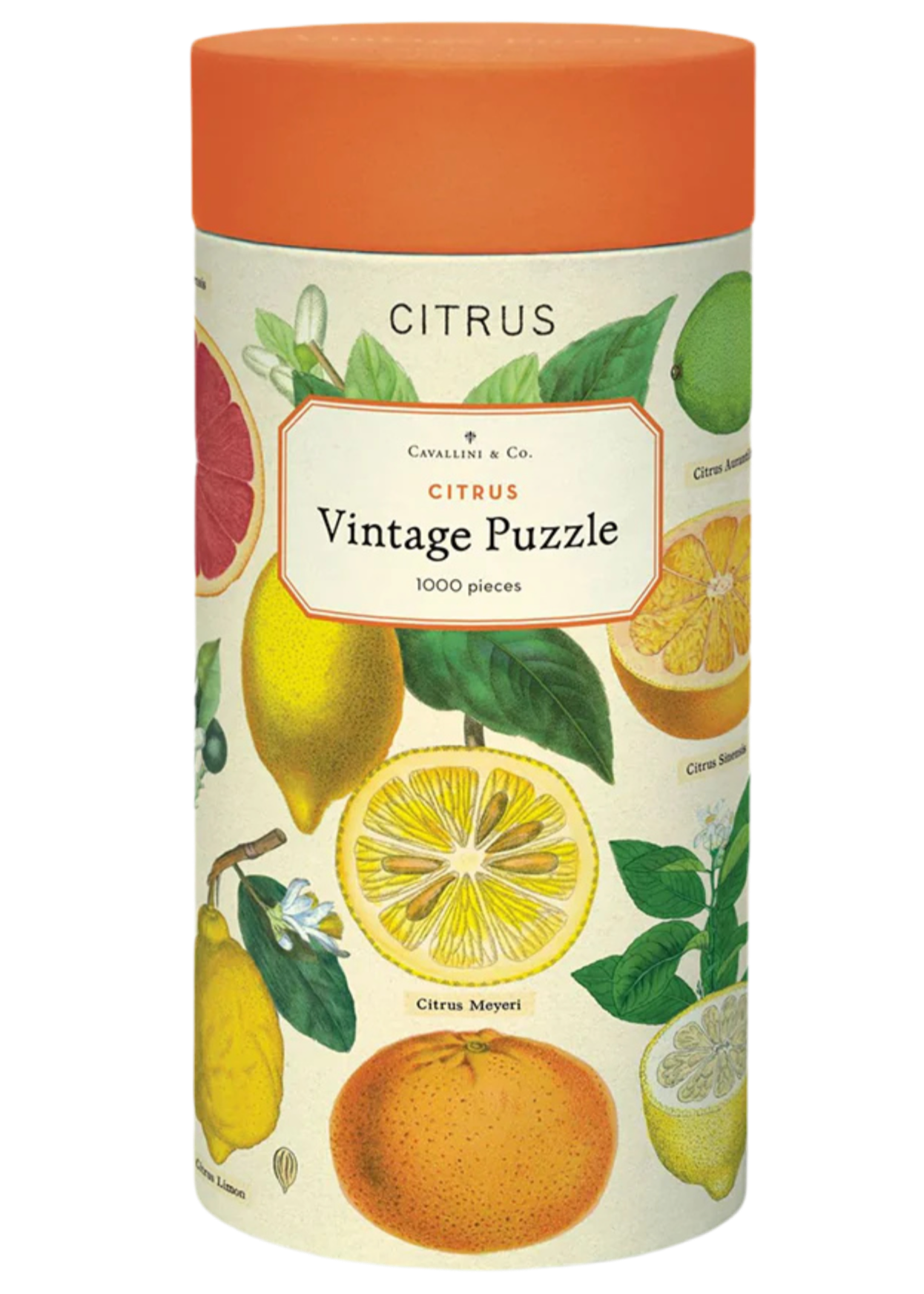 Vintage Puzzle | 1000 Pieces | Citrus