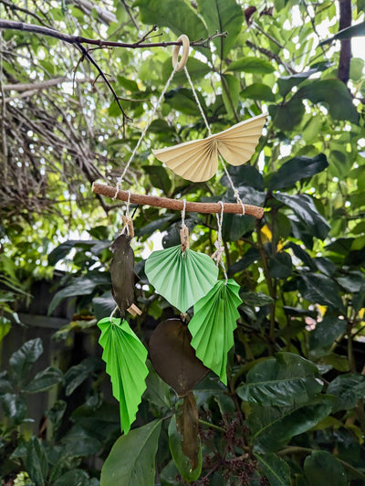 Kawakawa Educational Nature Box | Tree Children