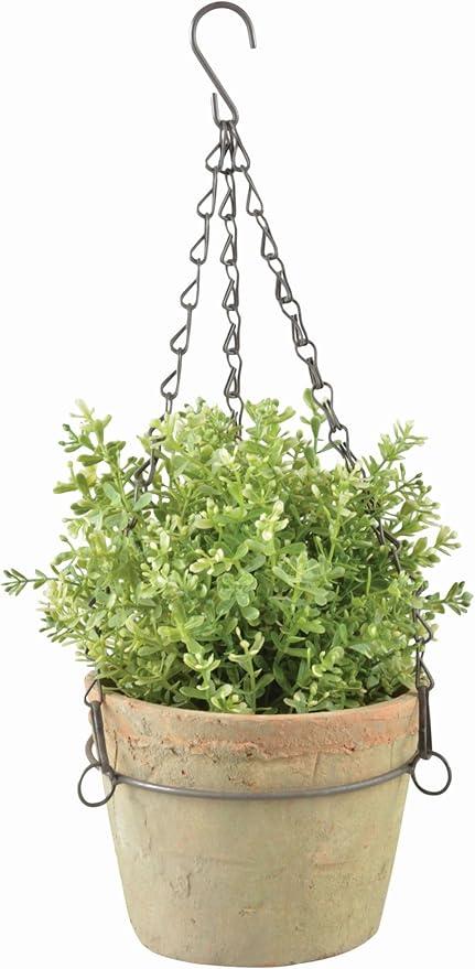 Aged Terracotta With Natural Mosses Hanging Pot