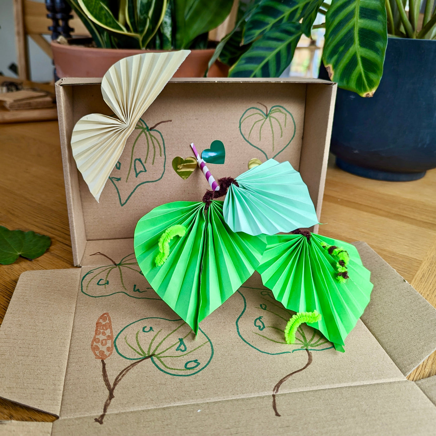 Kawakawa Educational Nature Box | Tree Children