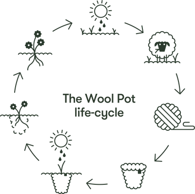 The Wool Pot | Set Of 3