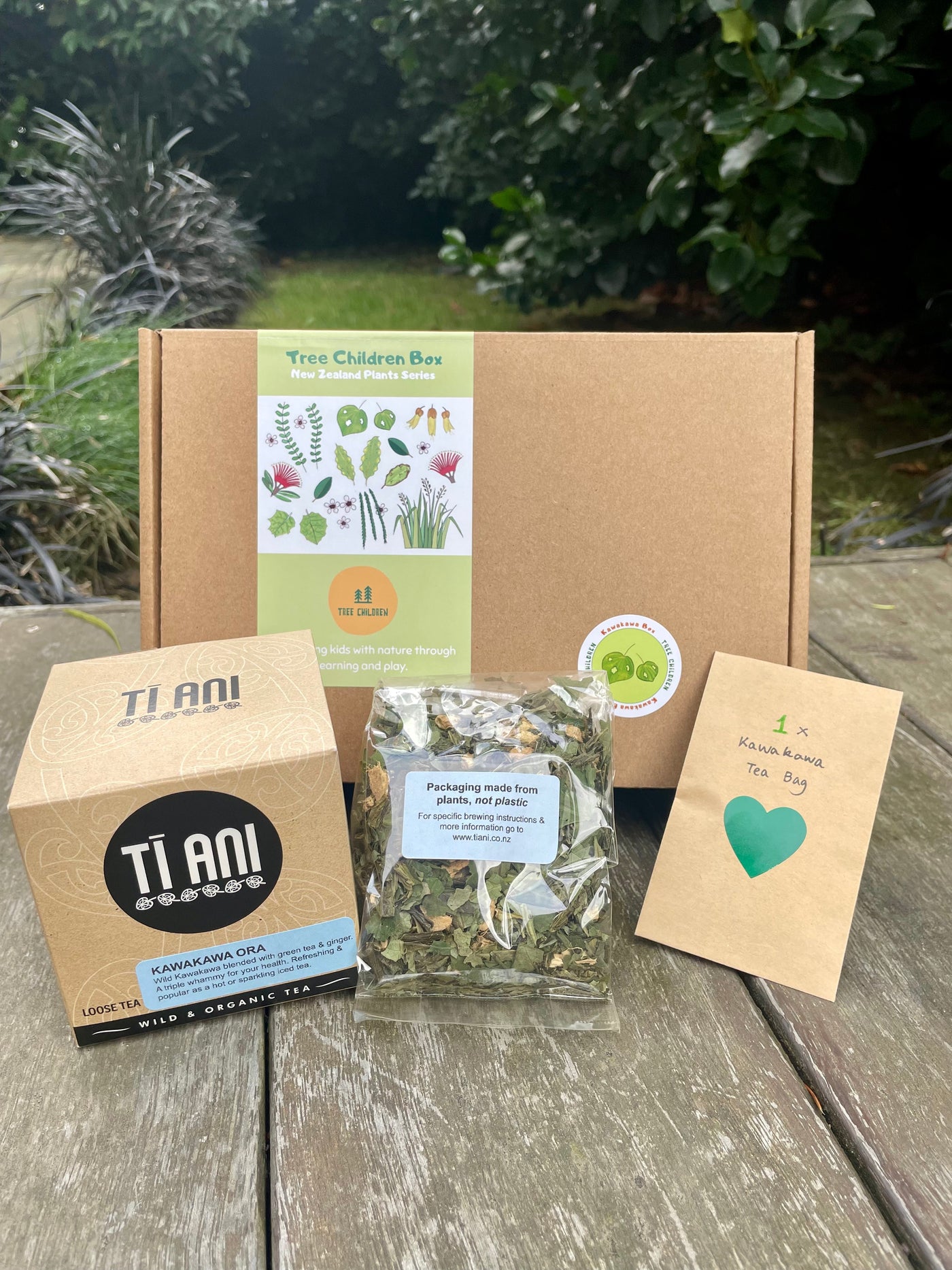 Kawakawa Educational Nature Box | Tree Children