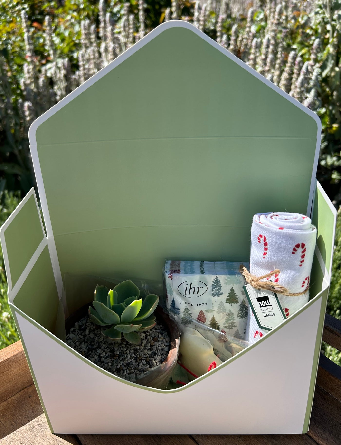 Gift Box | Succulent Plant + Giftware