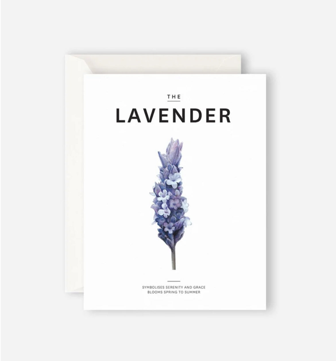 Gift Card | The Lavendar