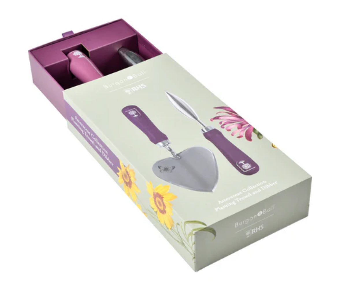 Trowel & Dibber | Asteraceae Collection