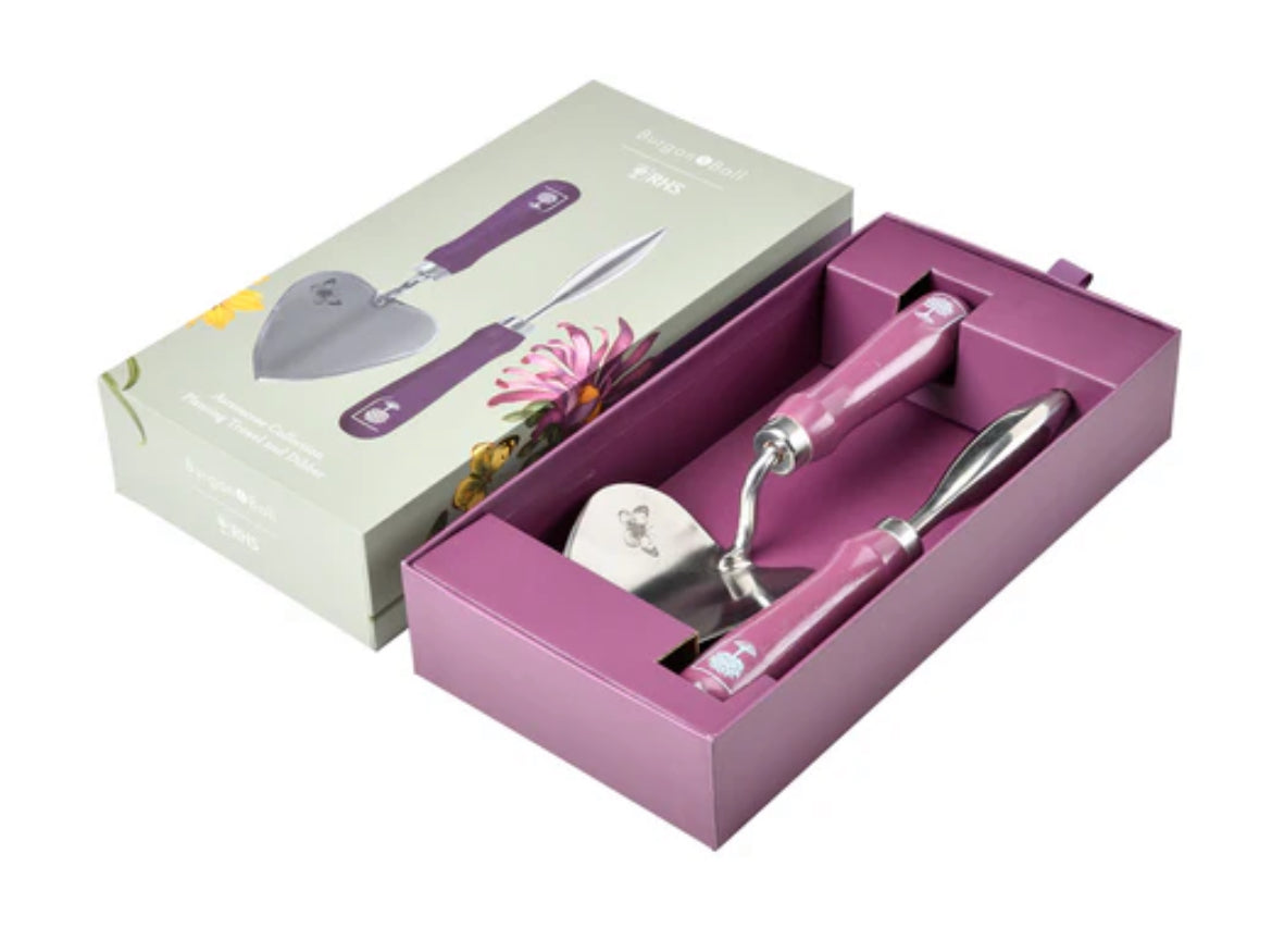 Trowel & Dibber | Asteraceae Collection