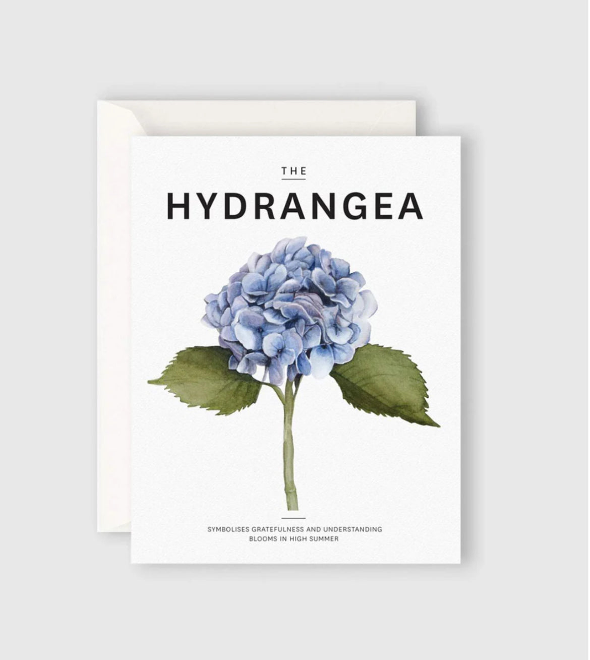 Gift Card | The Hydrangea