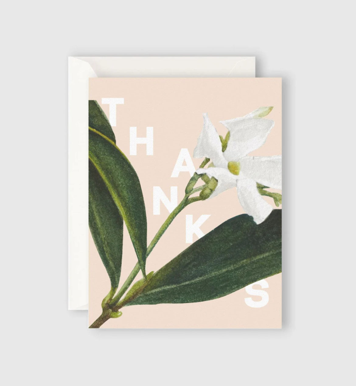 Gift Card | Jasmine Thank You