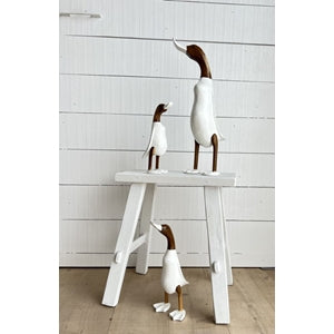 White Duck | Medium
