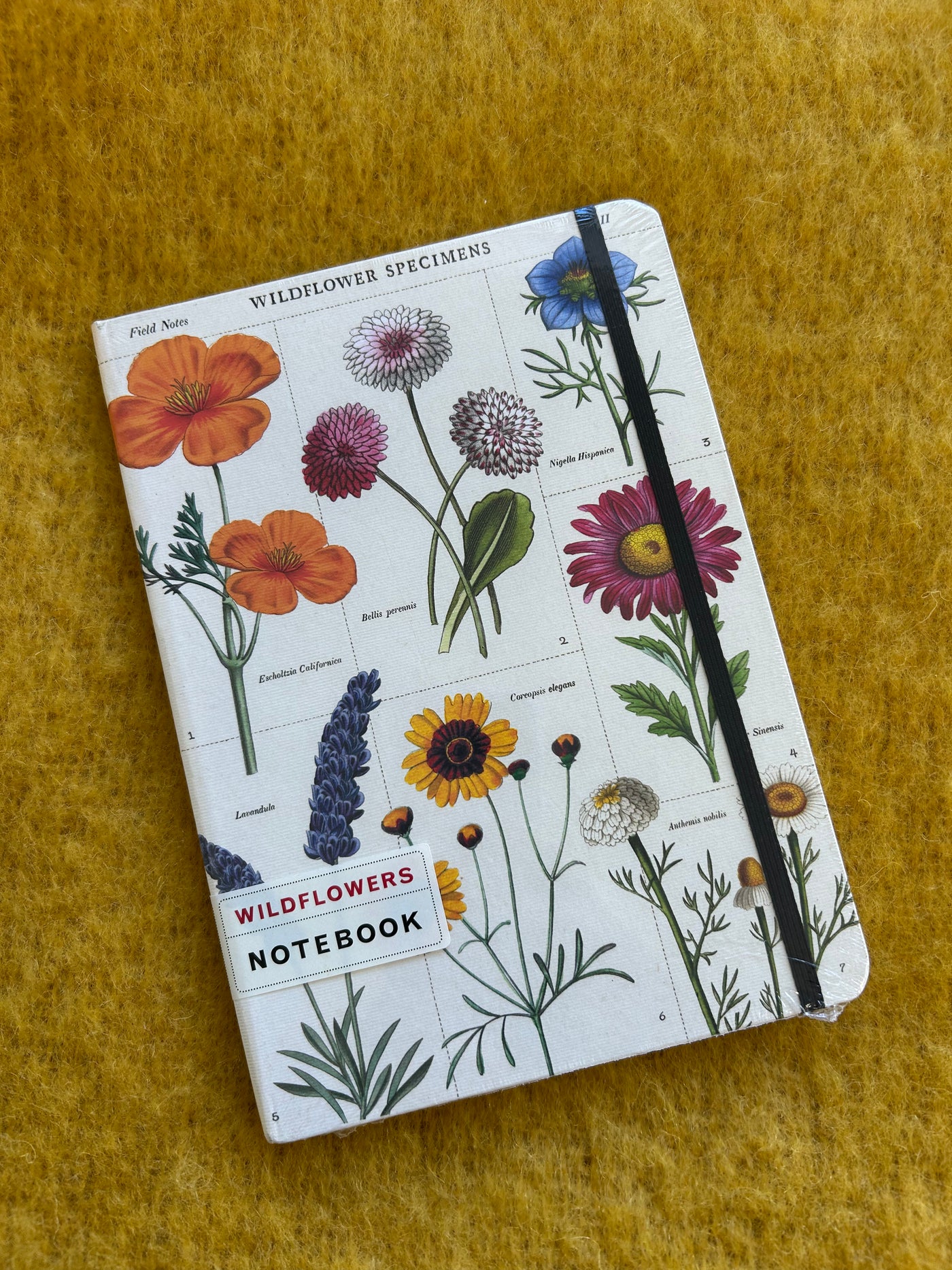 Wildflowers Notebook