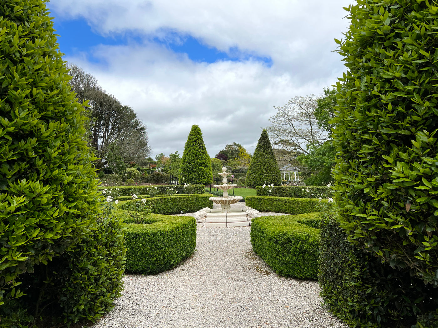 Open Day ~ Garden Walk + Devonshire Tea