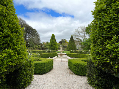 Open Day ~ Garden Walk + Devonshire Tea