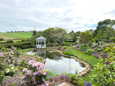 Open Day ~ Garden Walk + Devonshire Tea
