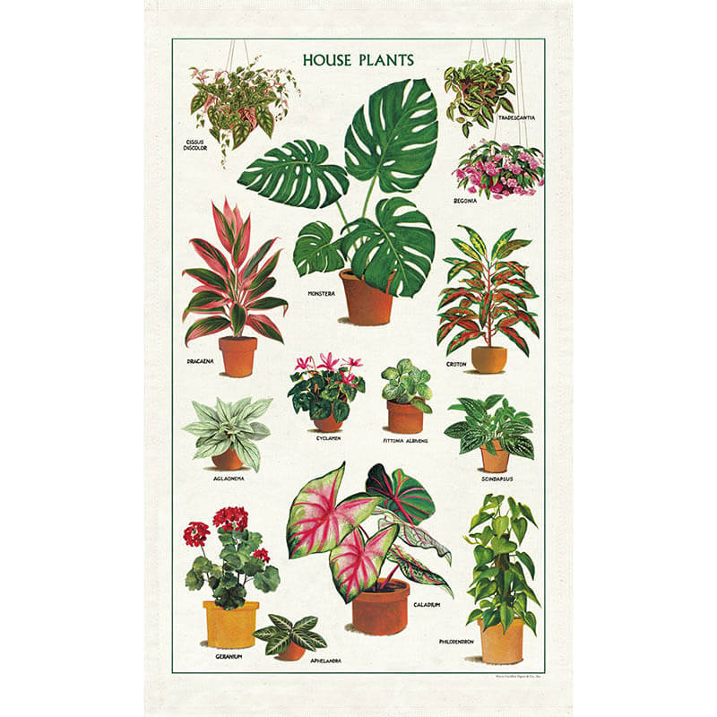 House Plants Vintage Tea Towel | Cavallini & Co
