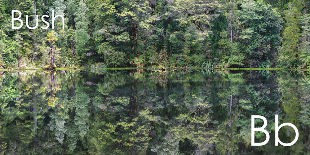 The Great Kiwi As ABC Picture Book | Corin & Brydie Walker Bain