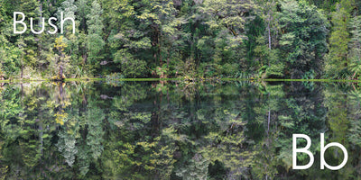 The Great Kiwi As ABC Picture Book | Corin & Brydie Walker Bain