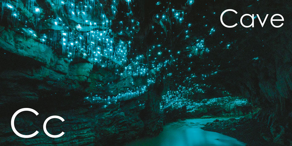 The Great Kiwi As ABC Picture Book | Corin & Brydie Walker Bain