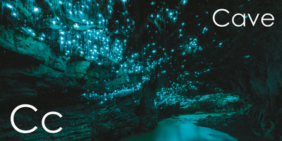 The Great Kiwi As ABC Picture Book | Corin & Brydie Walker Bain