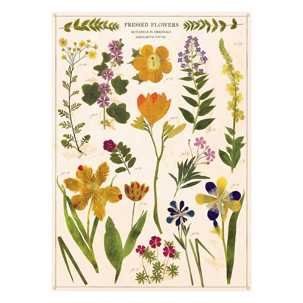 Pressed Flowers Poster | Cavallini & Co