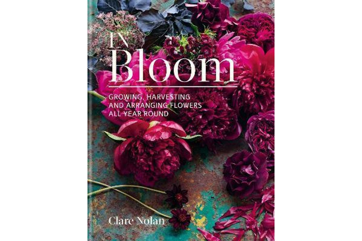 In Bloom | Clare Nolan