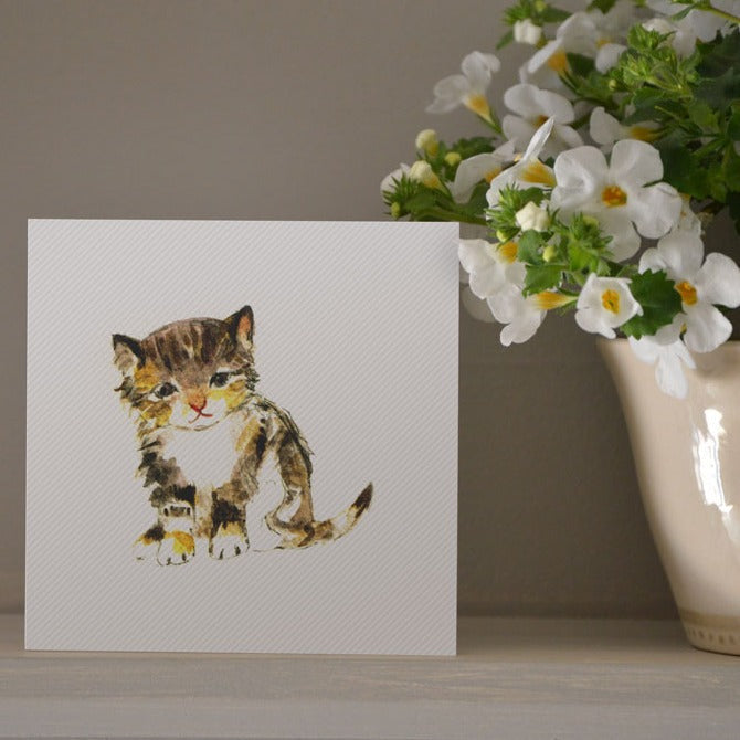 Gift Cards | Jane Hogben