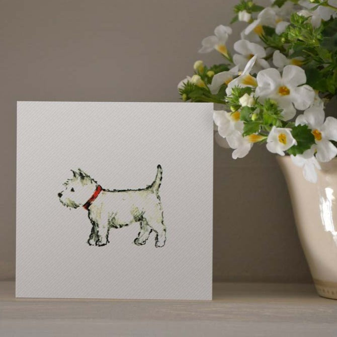 Gift Cards | Jane Hogben