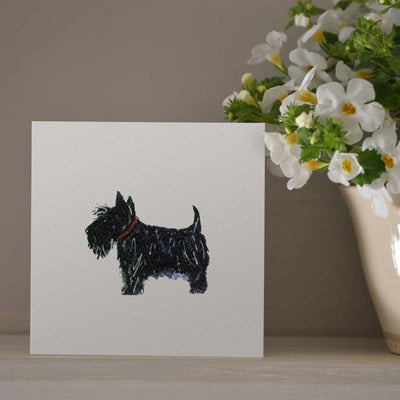 Gift Cards | Jane Hogben