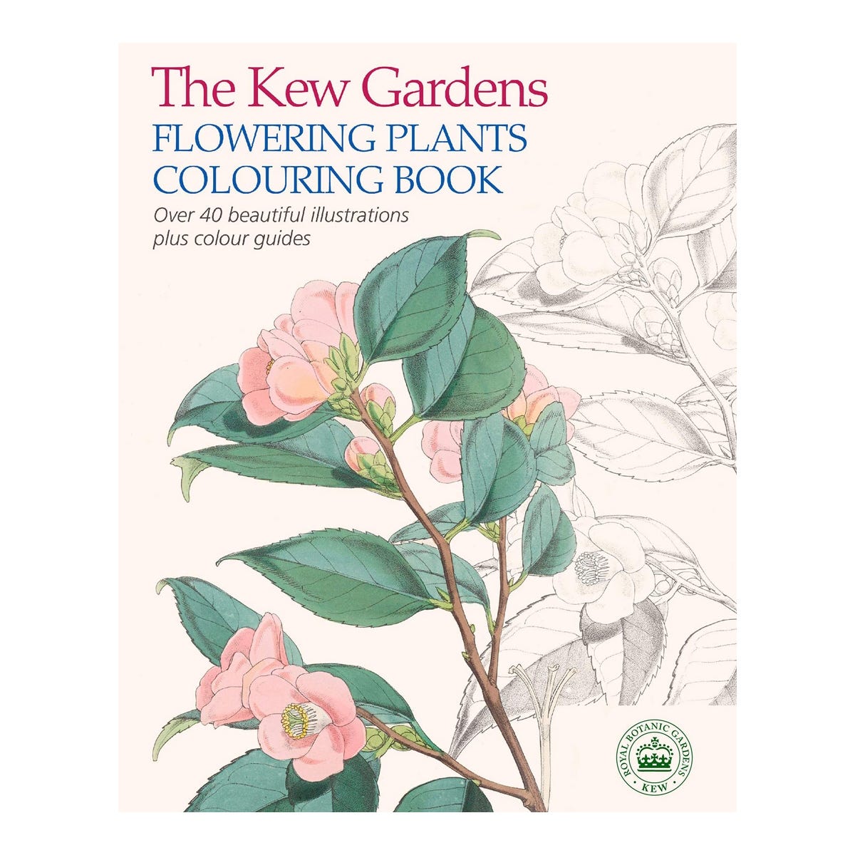 Flowering Plants Colouring Book | The Kew Gardens