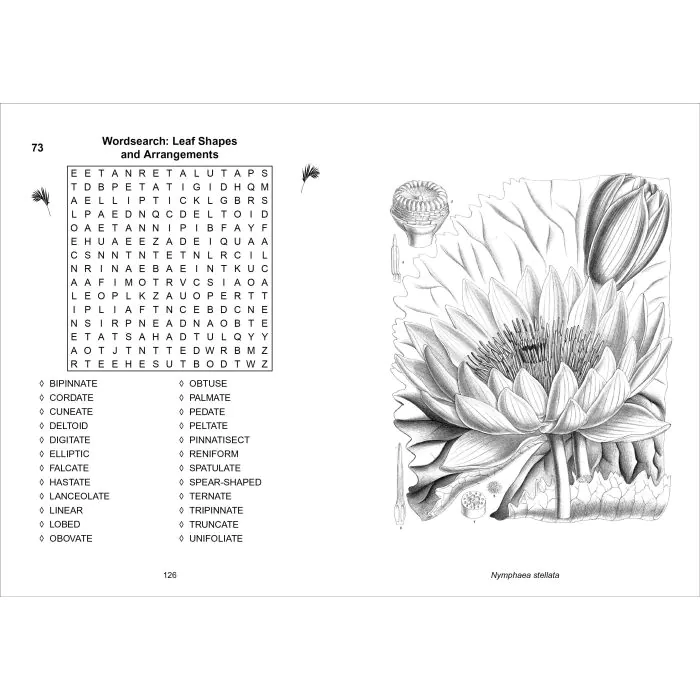 Calming Puzzles Collection | The Kew Gardens