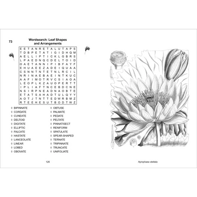 Calming Puzzles Collection | The Kew Gardens