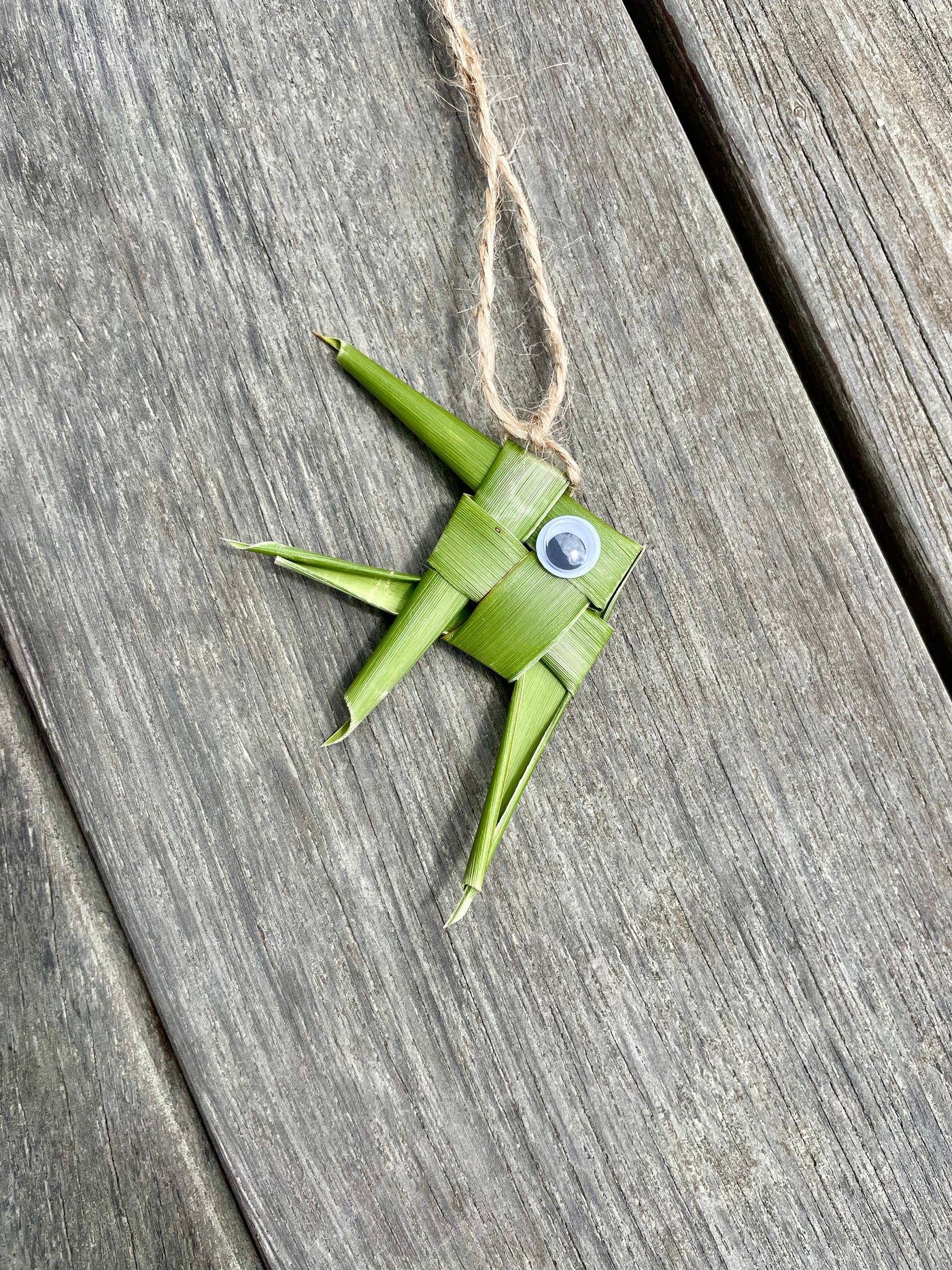 Harakeke Educational Nature Box | Tree Children