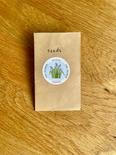 Harakeke Educational Nature Box | Tree Children