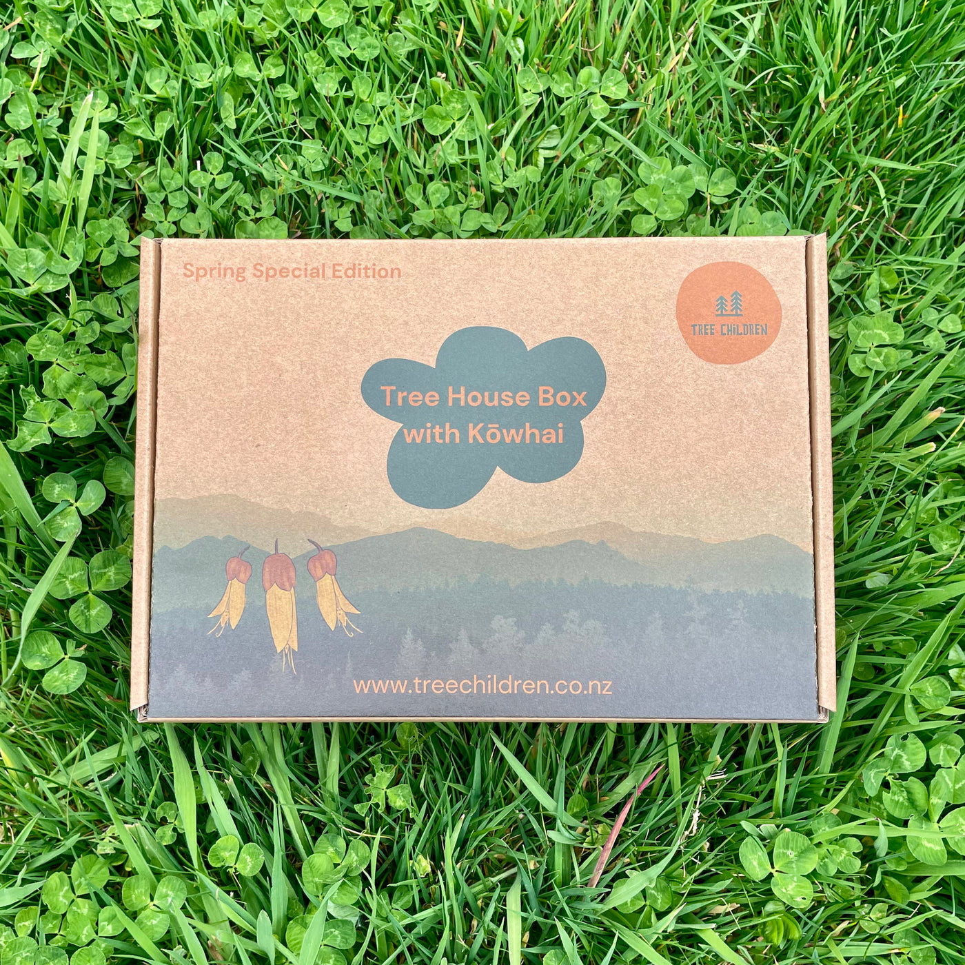 Kowhai Educational Nature Box | Tree Children