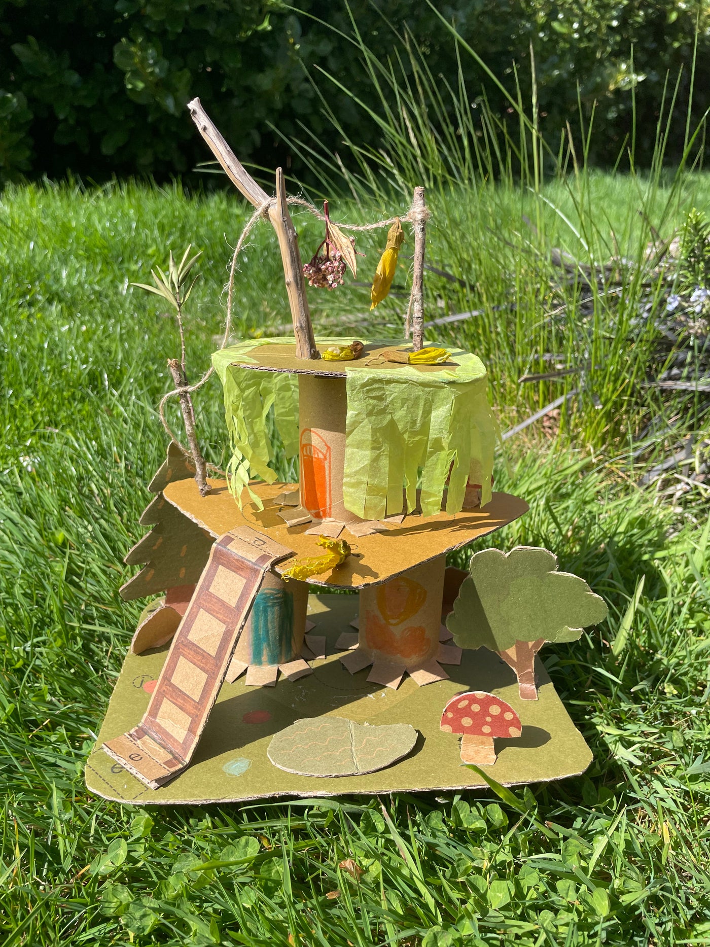 Kowhai Educational Nature Box | Tree Children