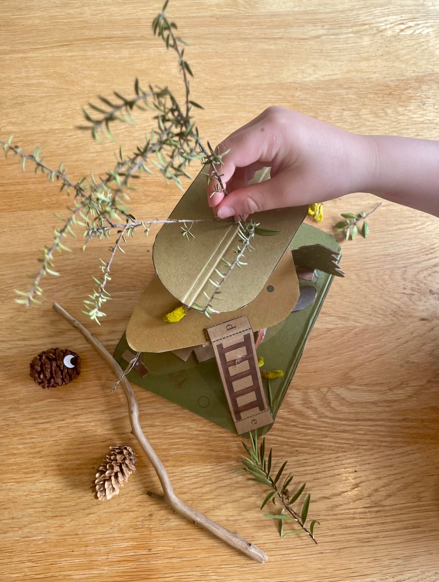 Kowhai Educational Nature Box | Tree Children