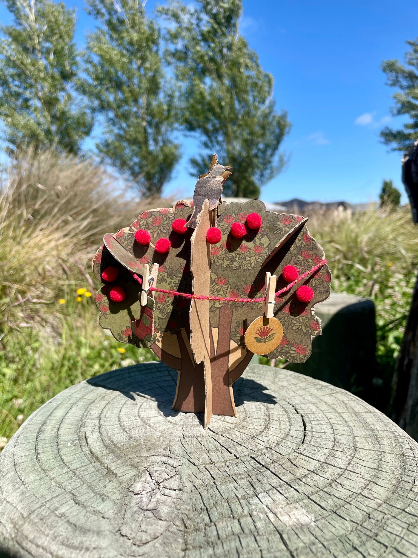 Christmas Pohutakawa Educational Nature Box | Tree Children