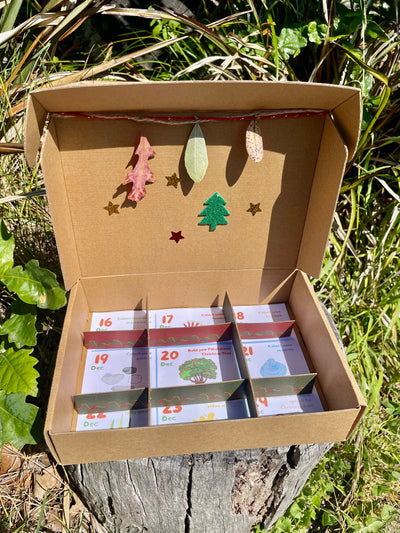 Christmas Pohutakawa Educational Nature Box | Tree Children