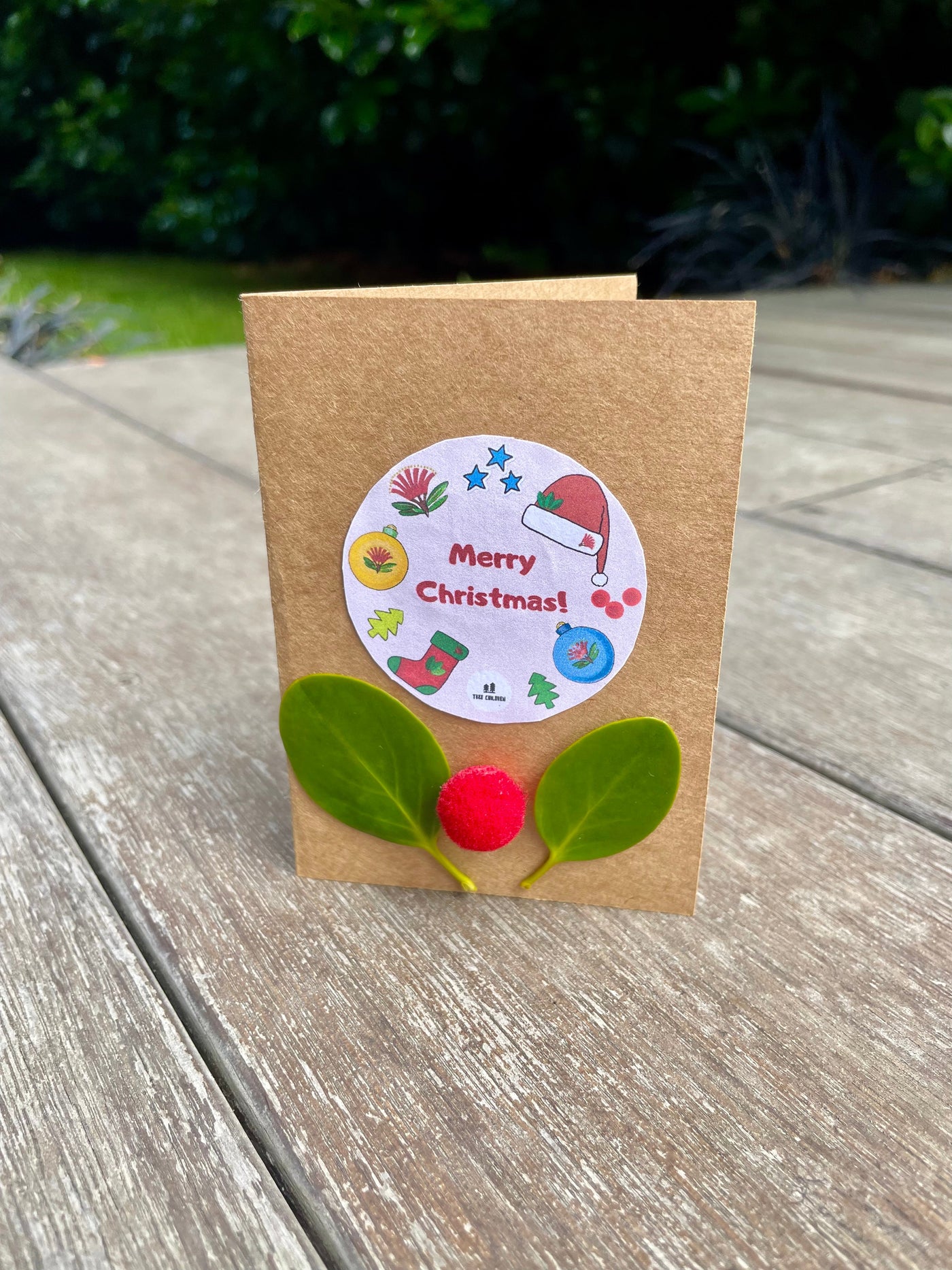 Christmas Pohutakawa Educational Nature Box | Tree Children