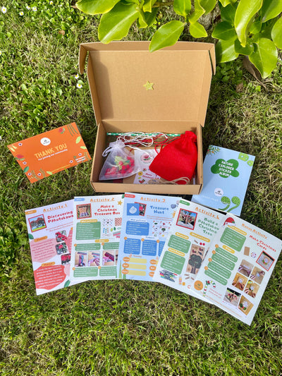 Christmas Pohutakawa Educational Nature Box | Tree Children