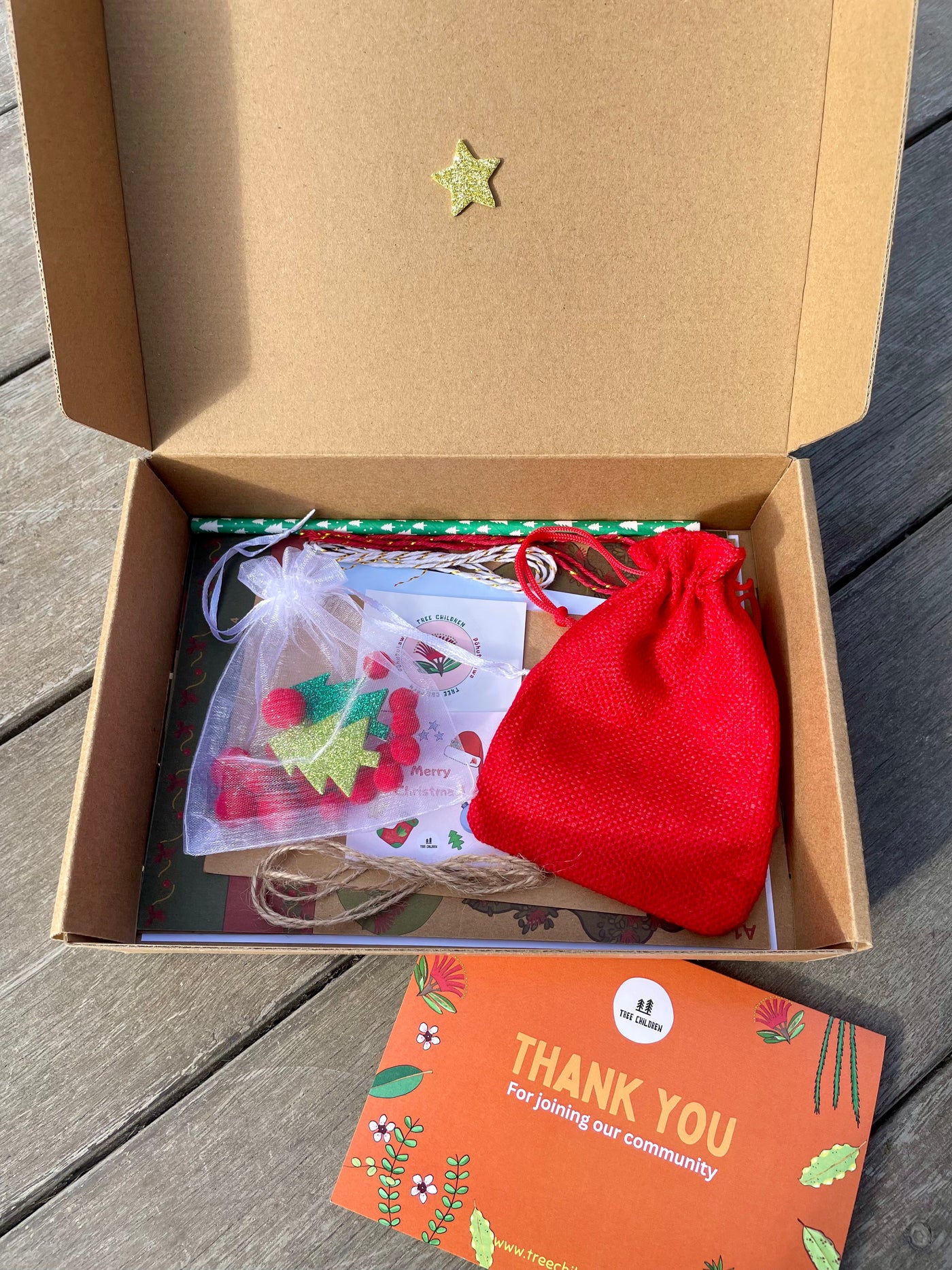 Christmas Pohutakawa Educational Nature Box | Tree Children
