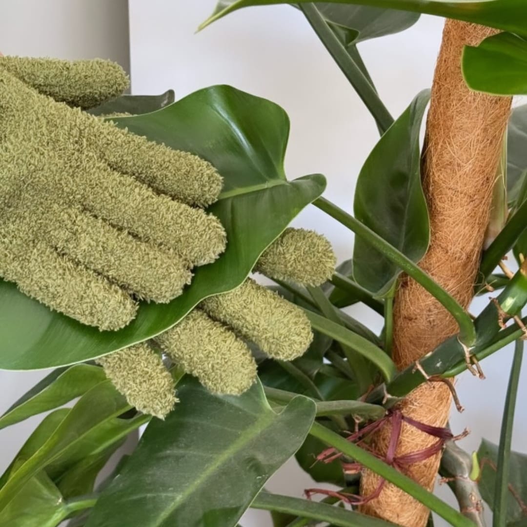 Plant Dust Gloves